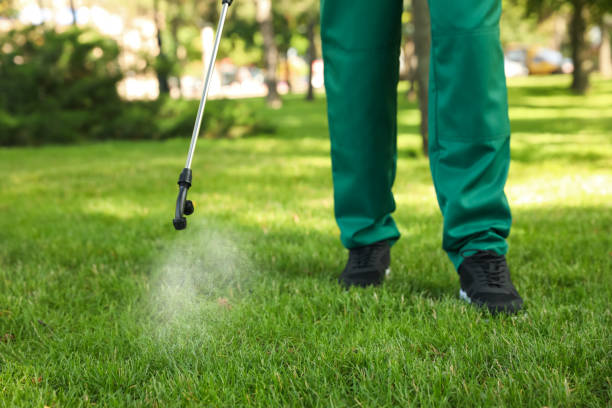  Santa Barbara, CA Pest Control Pros