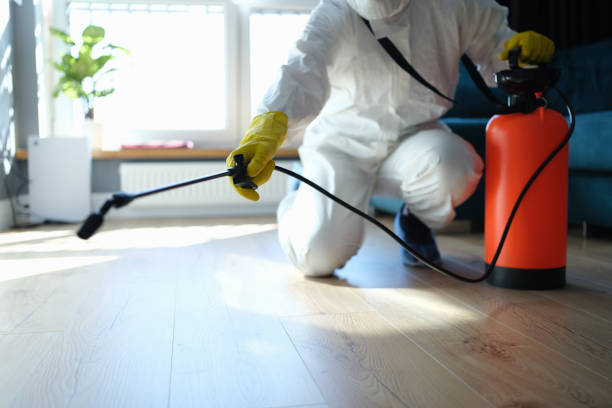 Best Mosquito Control Services  in Santa Barbara, CA