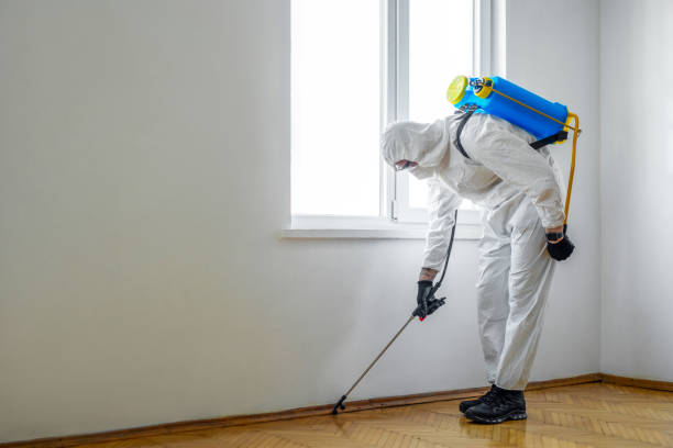 Best Pest Inspection Near Me  in Santa Barbara, CA