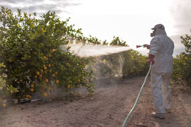 Best Best Pest Control Companies  in Santa Barbara, CA