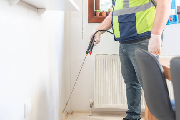 Best Ant Control Services  in Santa Barbara, CA