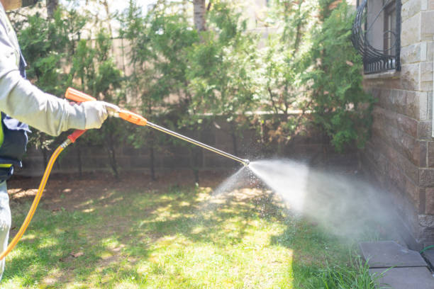  Santa Barbara, CA Pest Control Pros