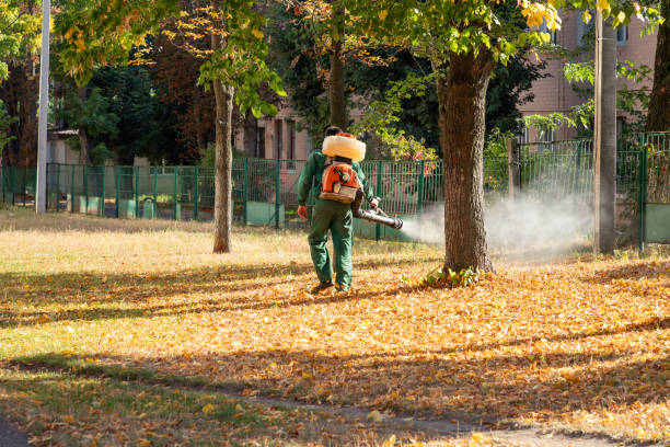 Best Flea Control Services  in Santa Barbara, CA