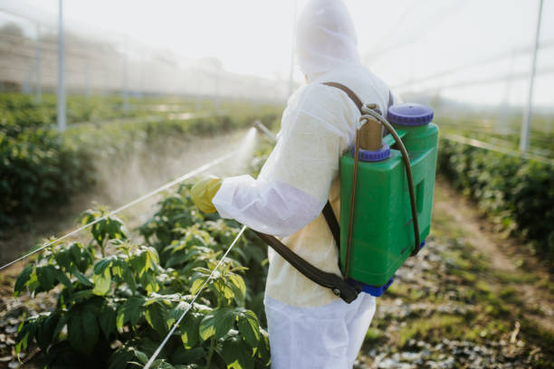 Best Exterminator Services  in Santa Barbara, CA